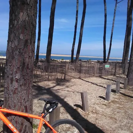 Ocelande 56 سان جوليان-أون-بورن